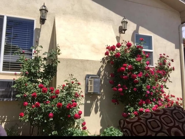 view of property exterior featuring stucco siding