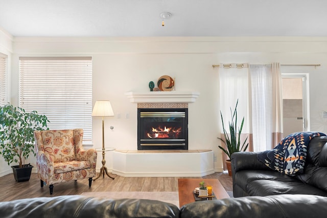 living area with baseboards, wood finished floors, and a glass covered fireplace