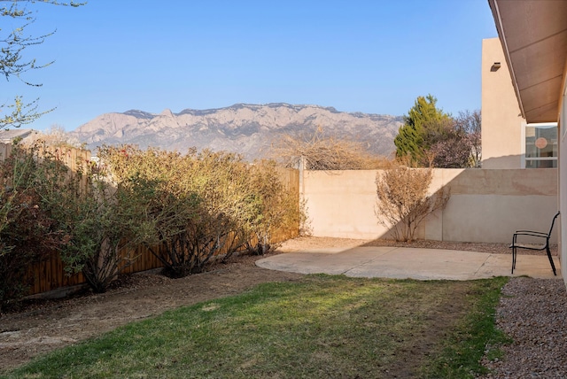 view of yard featuring a mountain view, a fenced backyard, and a patio area