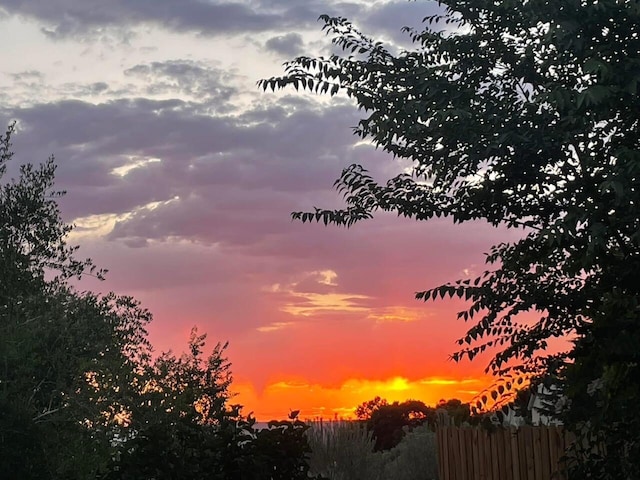 view of nature at dusk