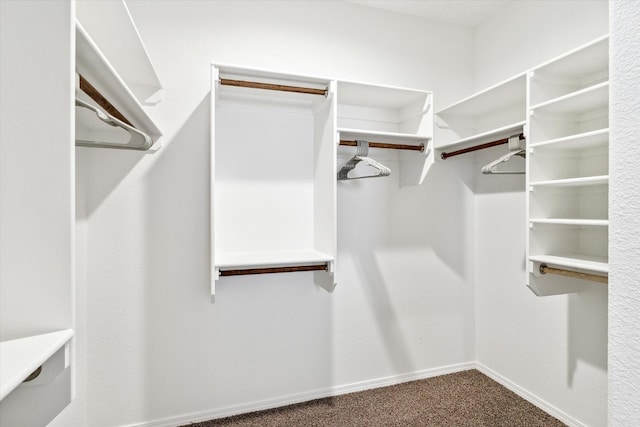 walk in closet featuring dark carpet