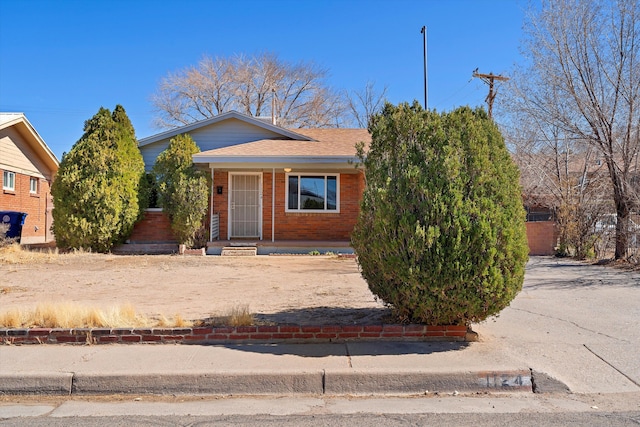 view of front of house featuring brick siding and roof with shingles