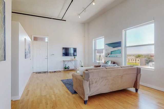 living room featuring plenty of natural light, rail lighting, and light wood-style floors