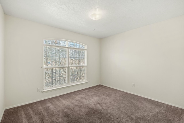 spare room featuring carpet, baseboards, and a textured ceiling