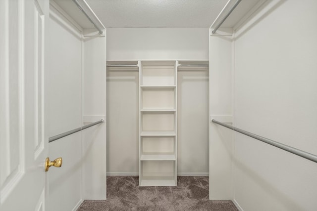 spacious closet featuring dark colored carpet