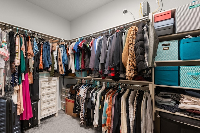 walk in closet featuring carpet floors