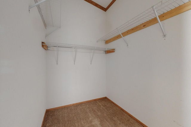 spacious closet featuring light carpet