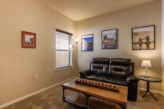 living area with a textured ceiling, baseboards, and carpet flooring