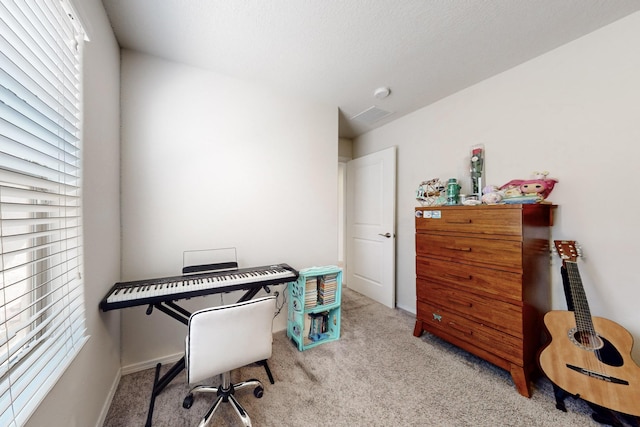 office space with a wealth of natural light and carpet