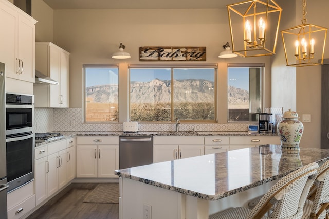 kitchen featuring stainless steel appliances, decorative backsplash, a sink, a mountain view, and under cabinet range hood