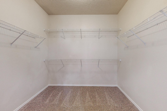 walk in closet with carpet flooring