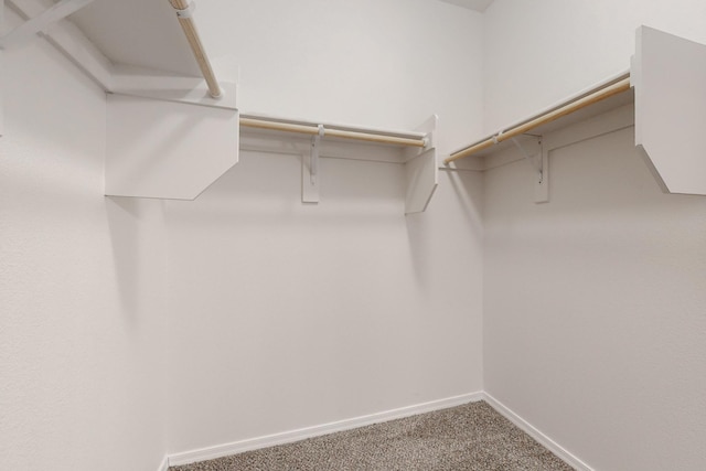 spacious closet with carpet