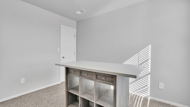 interior details featuring visible vents, a textured ceiling, baseboards, and carpet floors