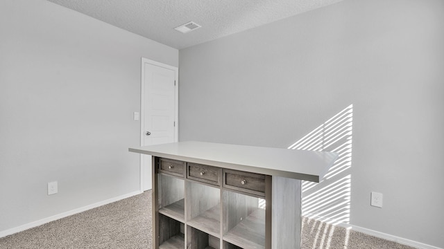 889 Tazanita Loop SE, Rio Rancho, NM 87124 - detailed view of carpet, baseboards, and a textured ceiling