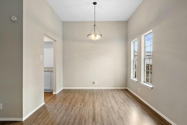 unfurnished dining area featuring baseboards and wood finished floors