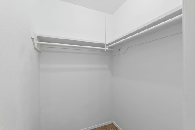 spacious closet with carpet