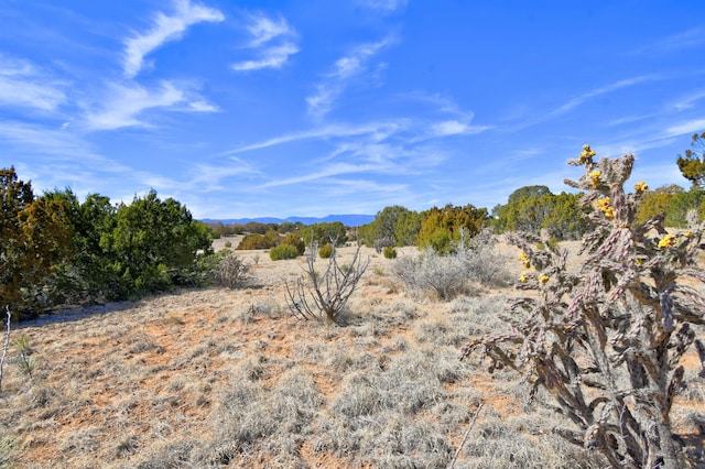 38 Weathersby Dr, Edgewood, NM 87015 - photo 5
