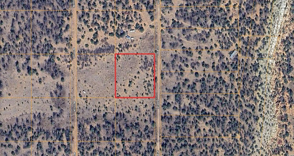 LOT531 Julie Ln, Ramah, NM 87321 - photo 2