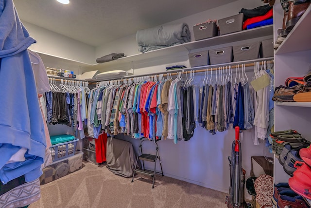 spacious closet with carpet