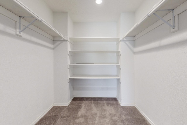 walk in closet with carpet flooring