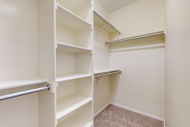 walk in closet featuring light carpet