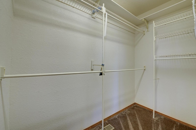 walk in closet featuring visible vents and carpet flooring