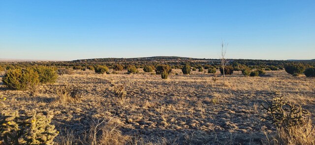 224 Entranosa Rd, Edgewood, NM 87015 - photo 6