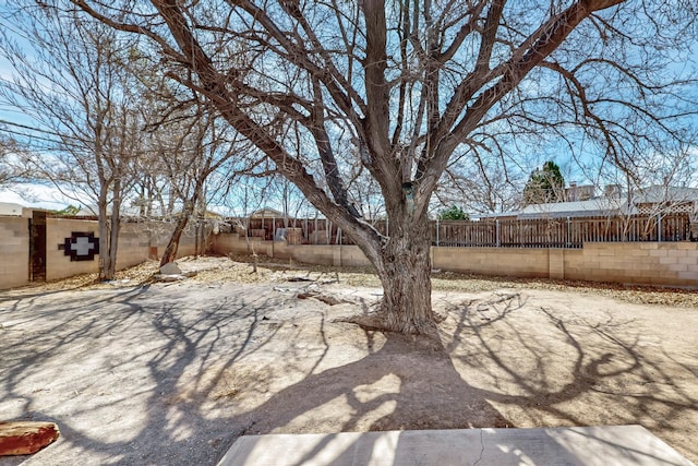 view of yard featuring fence