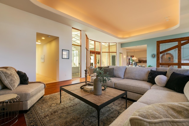 living area featuring a raised ceiling and wood finished floors