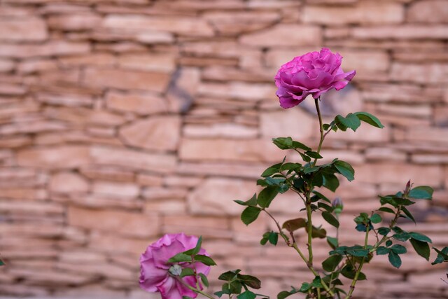 927 Camino Vista Rio, Bernalillo, NM 87004 - detailed view of stone siding