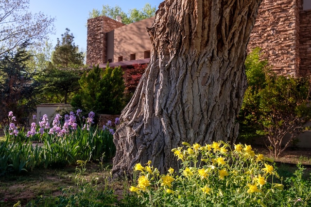 927 Camino Vista Rio, Bernalillo, NM 87004 - view of property exterior with stucco siding and a chimney
