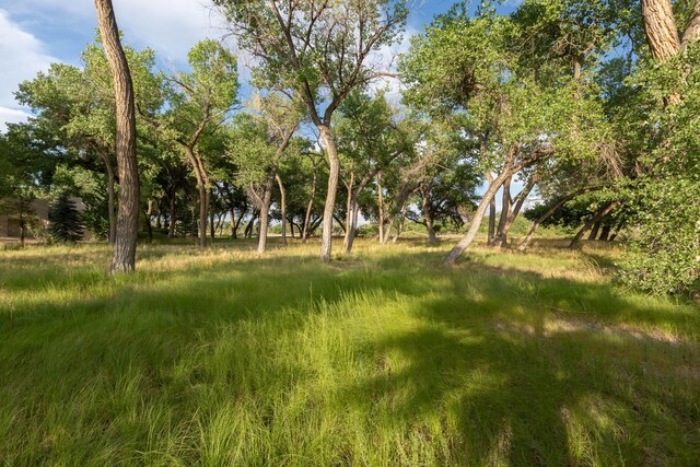 927 Camino Vista Rio, Bernalillo, NM 87004 - view of yard