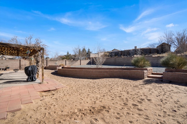 view of yard with a patio and a fenced backyard