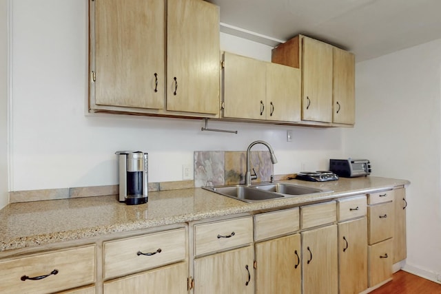 kitchen with wood finished floors, a sink, and light brown cabinetry