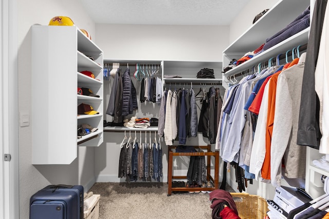 walk in closet with carpet flooring