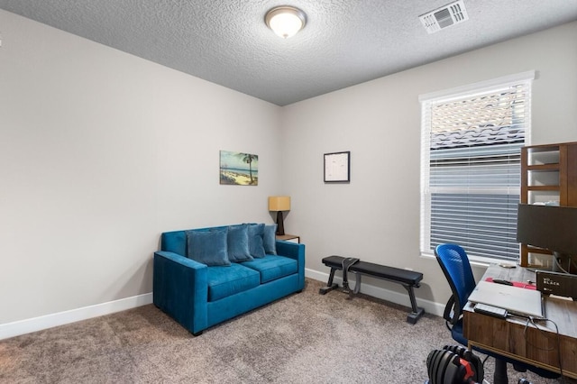 office with carpet flooring, baseboards, visible vents, and a textured ceiling