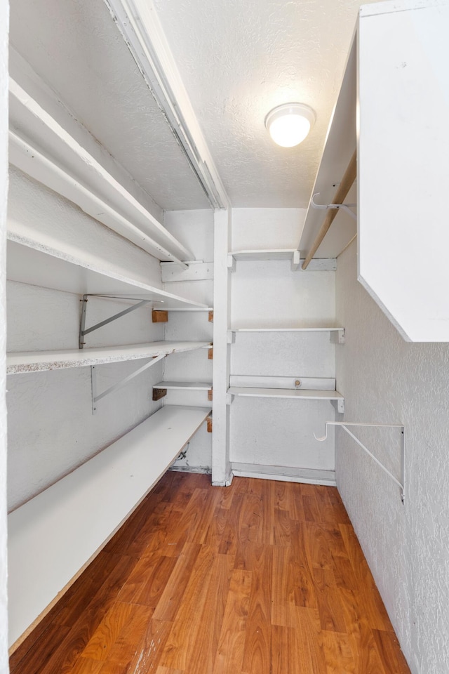 walk in closet featuring wood finished floors