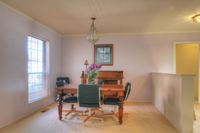 3105 Dallas St NE, Albuquerque, NM 87110 - photo 12