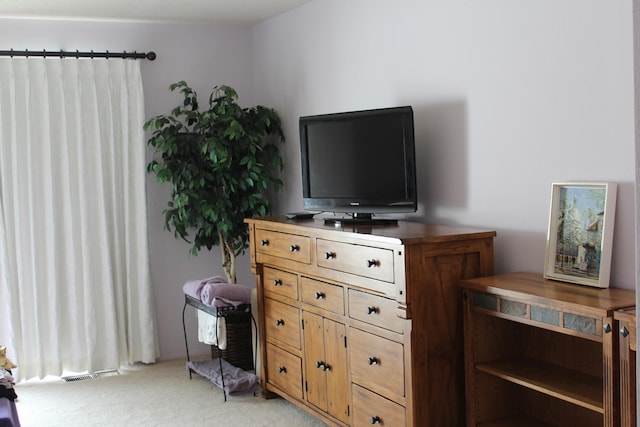 interior space with visible vents and light carpet