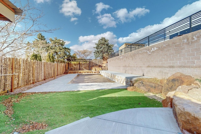 view of yard with a patio and a fenced backyard