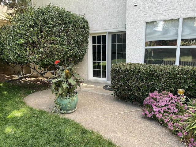 view of exterior entry featuring a patio area and stucco siding