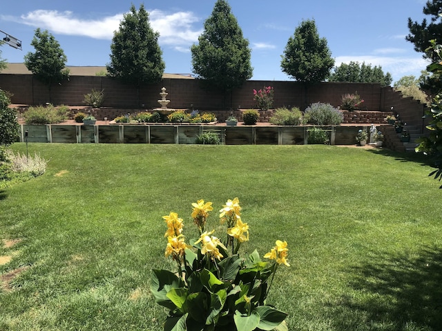 view of yard with a fenced backyard