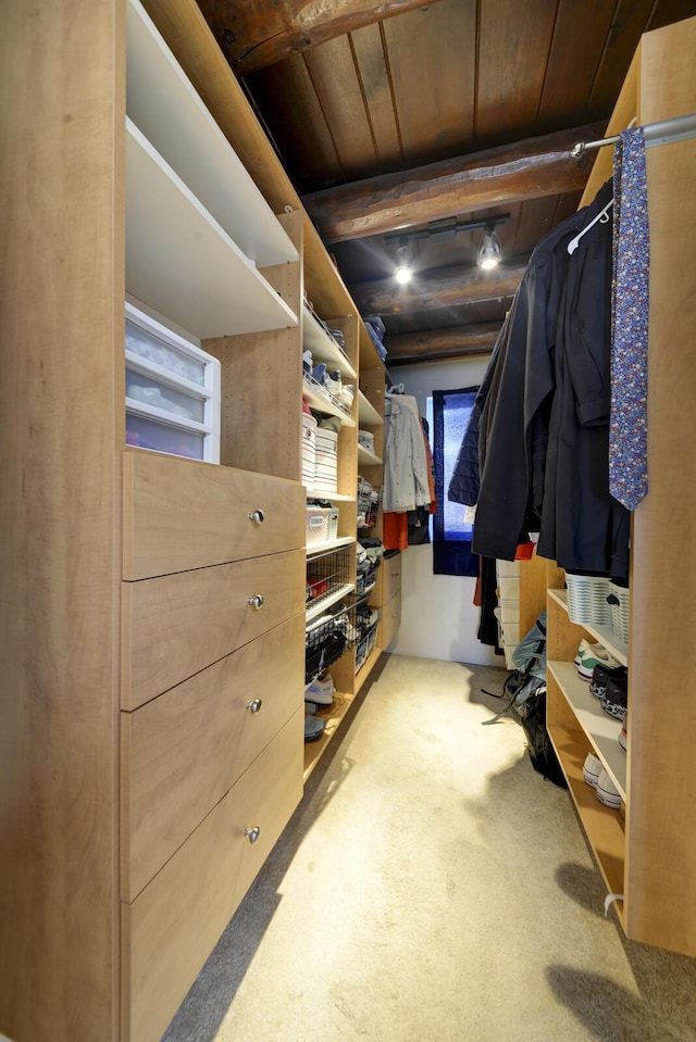 walk in closet with carpet flooring