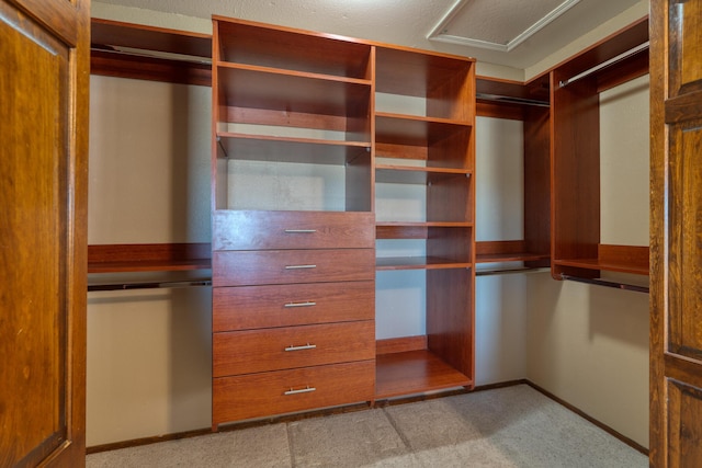 spacious closet featuring light carpet