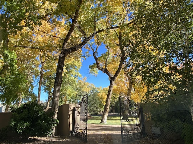 view of community with fence and a gate