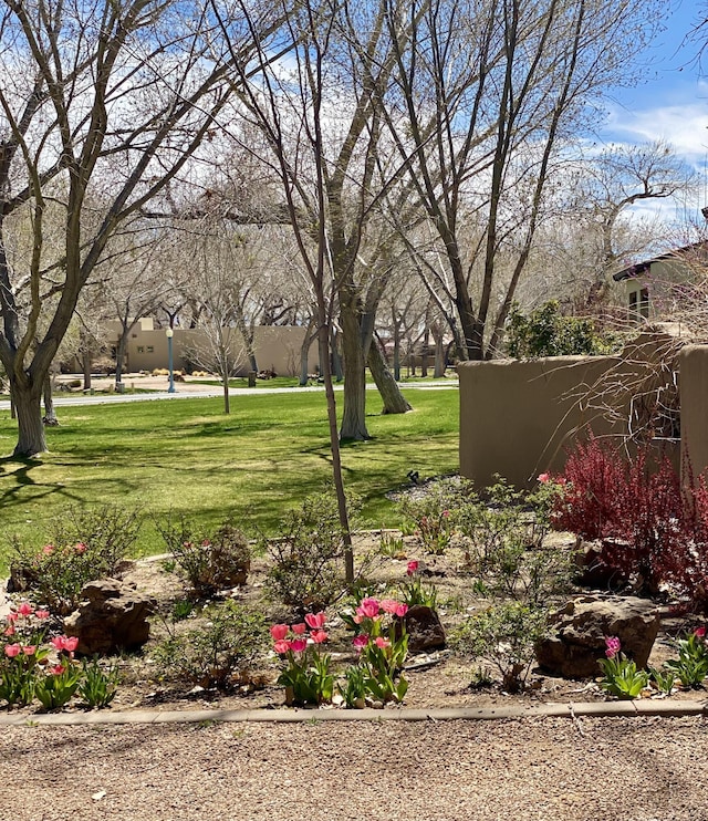 903 Camino Vista Rio, Bernalillo, NM 87004 - photo 90