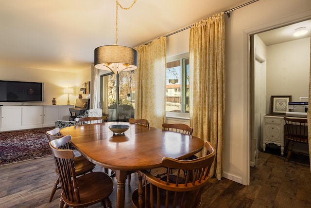 dining room featuring wood finished floors