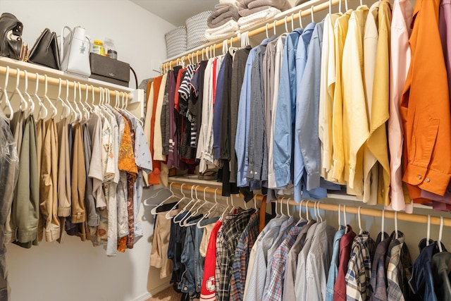 view of walk in closet