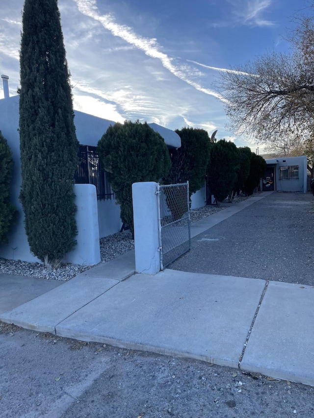 view of street with driveway, a gated entry, and a gate