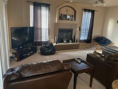 living room with a ceiling fan, a glass covered fireplace, and carpet flooring